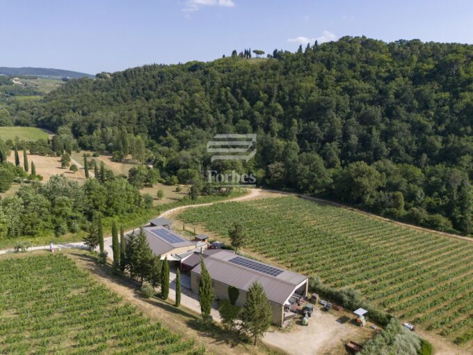 Prestigiosa Azienda Vitivinicola nel Cuore del Chianti Classico