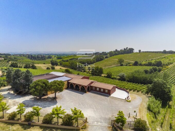Prestigiosa azienda vitivinicola in vendita a Montepulciano DOCG
