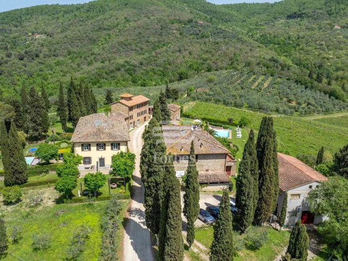 Fattoria Chianti Classico BIO - Storica azienda vitivinicola alla porte del Chianti
