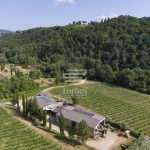 Prestigiosa Azienda Vitivinicola nel Cuore del Chianti Classico