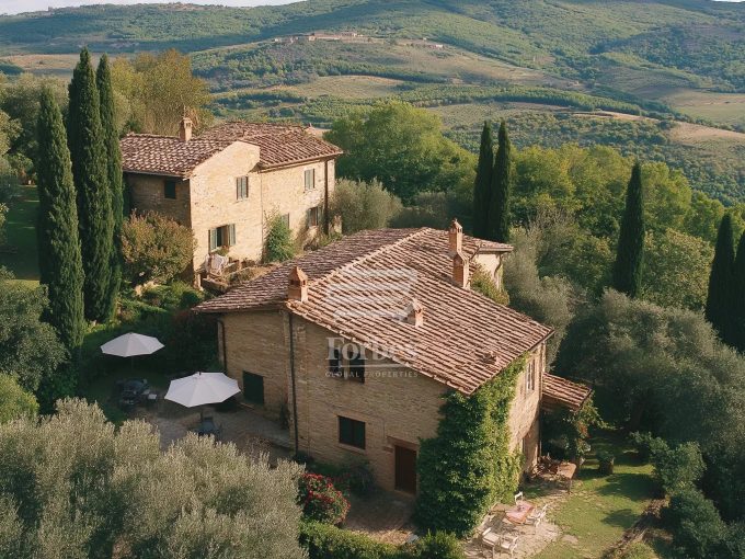 Antico borgo Toscano con vigneti, oliveti, agriturismo e licenze per eventi in vendita