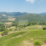 ECCELLENZE VINICOLE HOLDING 95 ha Vigneto Produzione BIO