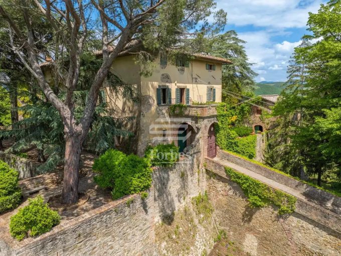Castello In Chianti Classico DOCG