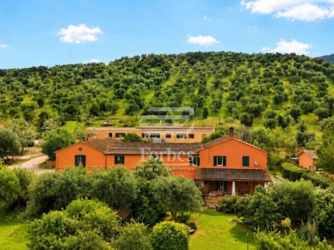 Elegante casale toscano bifamiliare con giardino in vendita a Grosseto